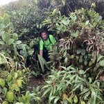 Photo taken by Luke T