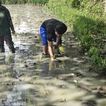 Photo taken by Valerie K