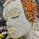 Photo taken by Shannon F