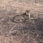 Photo taken by rhonda c