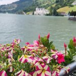 Photo taken by Jennifer S