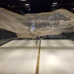 Photo taken by Kim M