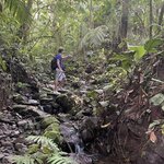 Photo taken by Matt P