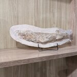 Photo taken by Hunter M