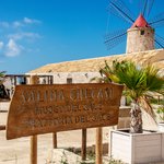 Photo taken by Richard C