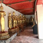 Photo taken by Shaula L