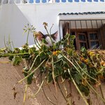 Photo taken by Hunter M