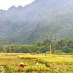 Photo taken by Colin M