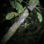 Photo taken by Sophia N