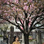 Photo taken by Sailesh P