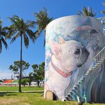 Photo taken by John Mark W