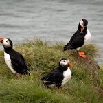 Photo taken by Kim C