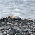 Photo taken by Jennifer R