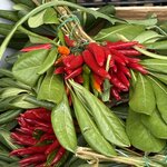 Photo taken by Marla J