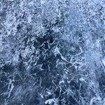 Photo taken by Beth C