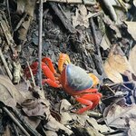 Photo taken by Blair H