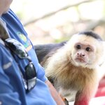 Photo taken by Joyce C