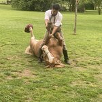 Photo taken by Gillian O