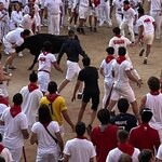 Photo taken by Liz S