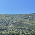 Photo taken by Kaisha S