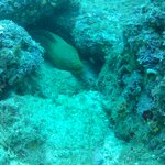 Photo taken by Sara W