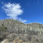 Photo taken by Pacita D