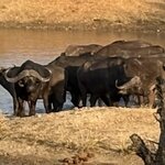 Photo taken by Paul B