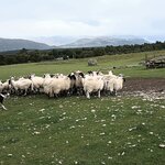 Photo taken by Bob J