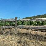 Photo taken by ANNE N