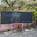 Photo taken by Lisa B