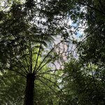 Photo taken by William Scott S