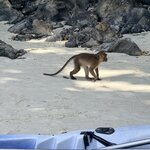 Photo taken by Megan H