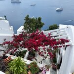 Photo taken by Courtney S