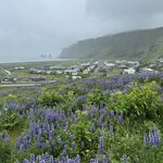 Photo taken by Anna A