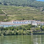 Photo taken by Kaisha S