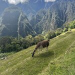 Photo taken by Lindsey B