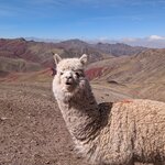 Photo taken by Erica A