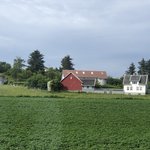 Farm Land on our way | Photo taken by florence P