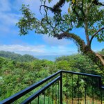 Photo taken by Tenley G