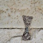 Photo taken by Dee W