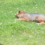 Photo taken by Raj M