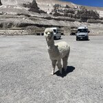 Photo taken by Shanthi V