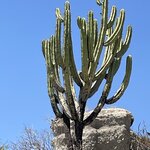 Photo taken by Julie S