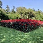 Photo taken by Lisa B