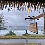 Photo taken by Ellen F