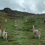 Photo taken by Tara T