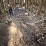 Photo taken by Derek A