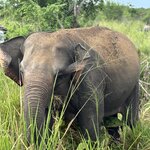 Photo taken by Bryce W