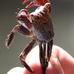 Photo taken by Joyce C