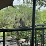 Photo taken by Christopher F